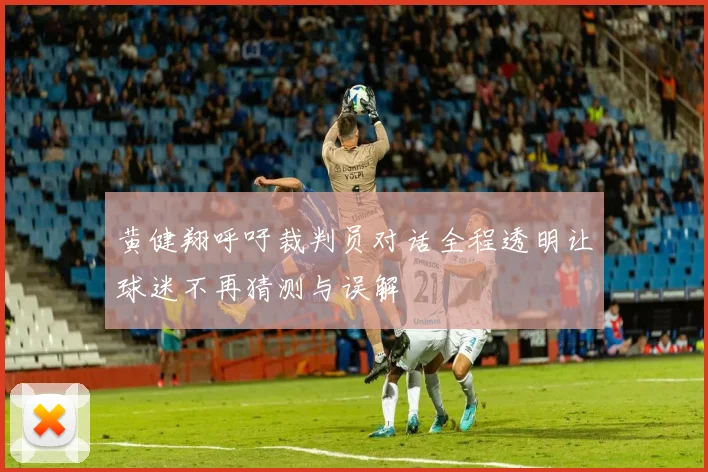 黄健翔呼吁裁判员对话全程透明让球迷不再猜测与误解